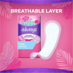 Always Thin No Feel Protection Daily Liners Regular Absorbency Unscented, 60 Count - Pack of 4 (240 Count Total)
